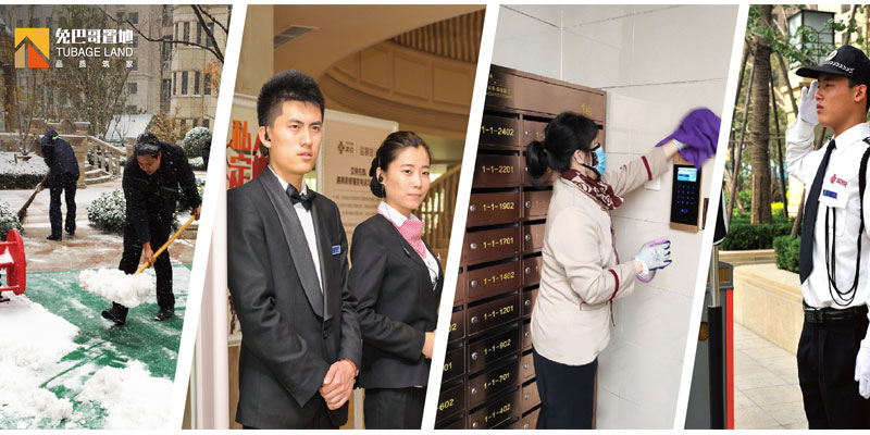 冬日里，兔巴哥的那些暖心行為